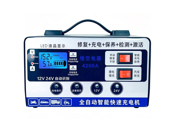12V Automotive Battery Charger